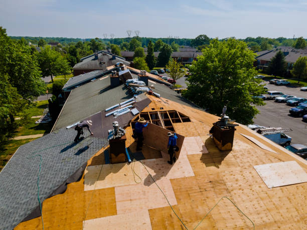 Best Roof Gutter Cleaning  in Centrevle, IL