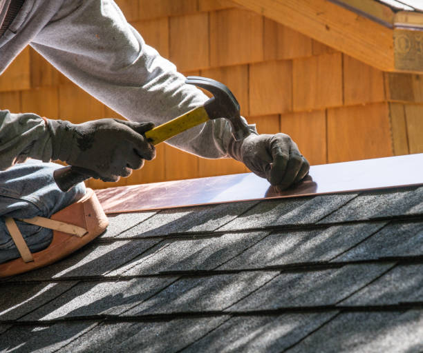 Roof Gutter Cleaning in Centreville, IL